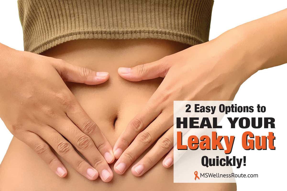 Easy Options To Heal Your Leaky Gut Quickly Ms Wellness Route