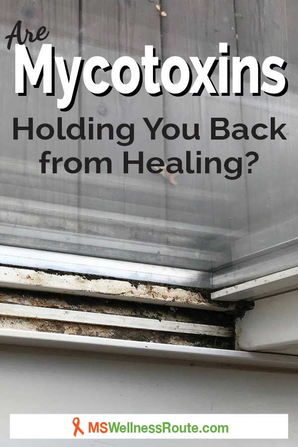 A Pinterest pin of a window track that has mold with overlay: Are Mycotoxins Holding You Back From Healing?