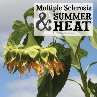 Multiple Sclerosis and Summer Heat