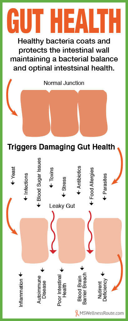 Image showing healthy gut lining compared to a leaky gut.