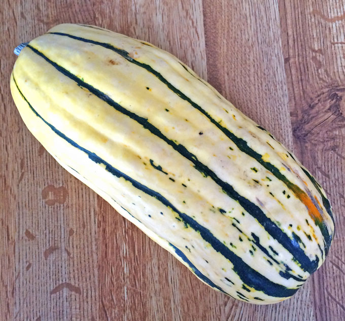 Cinnamon Delicata Squash