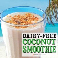 Dairy Free Coconut Smoothie