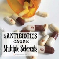 How Antibiotics Cause Multiple Sclerosis