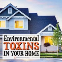 Environmental Toxins In Your Home