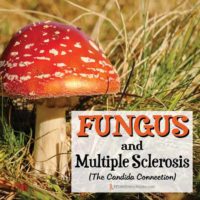 Fungus and Multiple Sclerosis