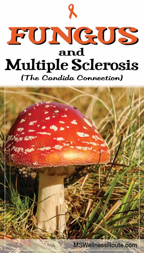 Fungus and Multiple Sclerosis