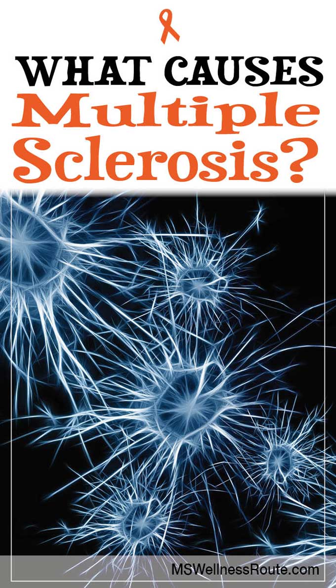 What Causes MS?