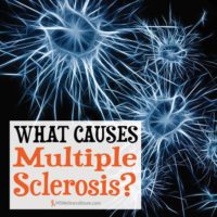 What Causes MS?