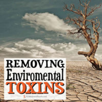 Removing Environmental Toxins