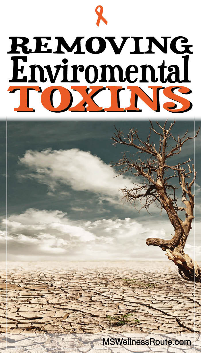 Removing Enviromental Toxins