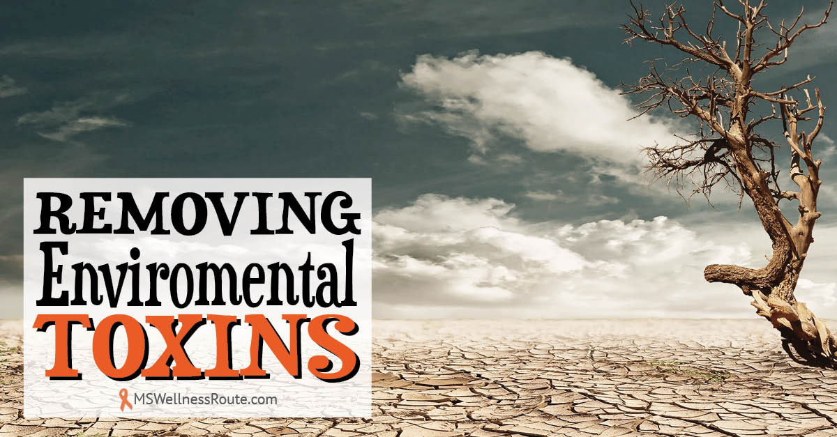 Removing Environmental Toxins - MS Wellness Route