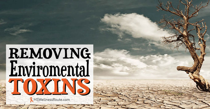 Removing Enviromental Toxins