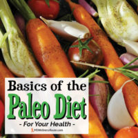 Basics of the paleo diet for your health.