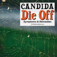 Learn how to avoid Candida die off, the symptoms and remedies.