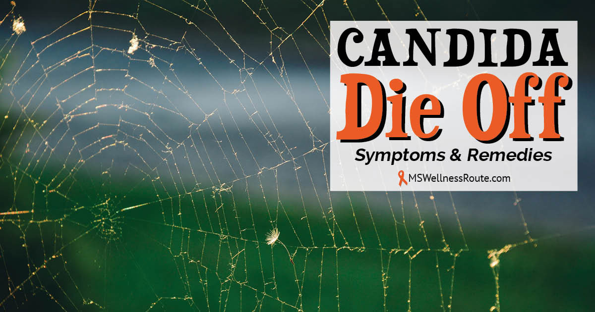 candida-die-off-ms-wellness-route