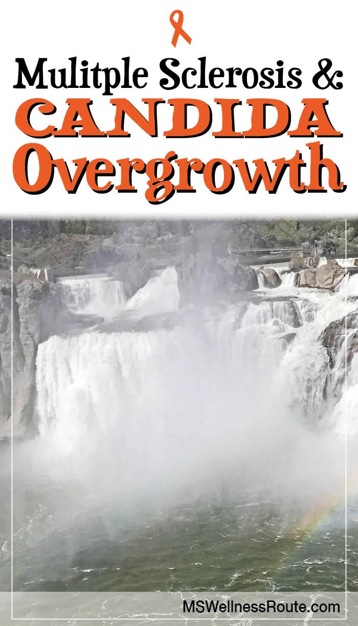 Candida is a small amount of yeast that lives inside everyone. It’s also the most common cause of a yeast overgrowth. MS and Candida overgrowth maybe your missing link.