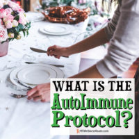 What is the Autoimmune Protocol?