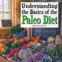 Understanding the Basics of the Paleo Diet