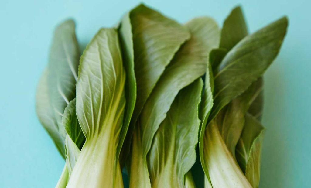 Bok choy lined up on blue background.