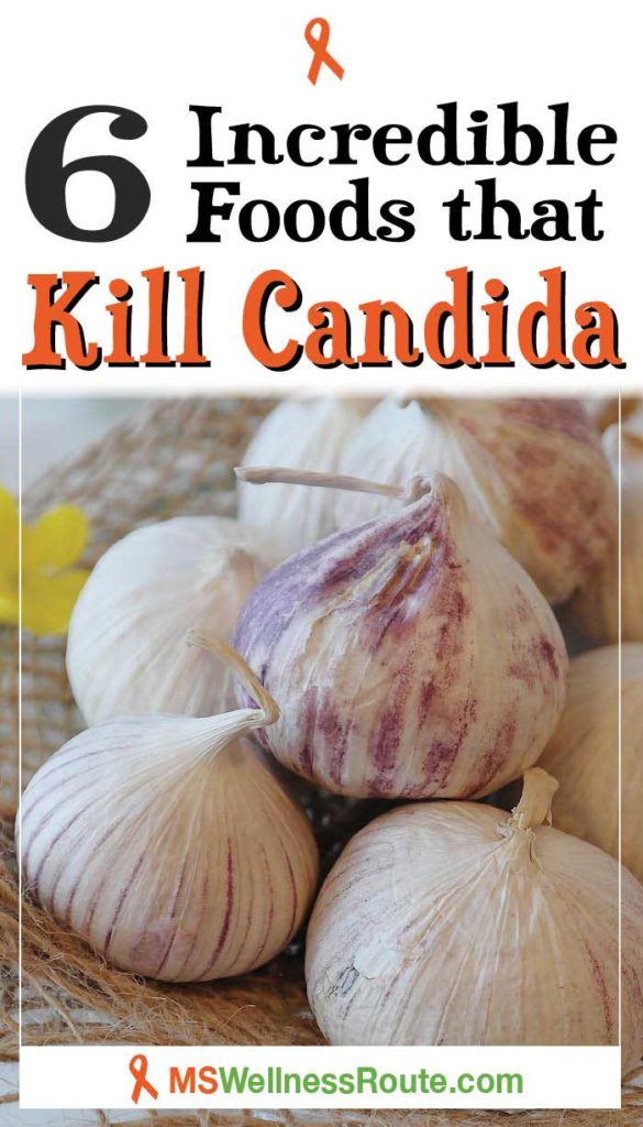 Learn which 6 incredible foods that kill Candida. | Candida | Holistic Health | #candida #wellnesstips