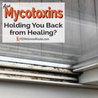 Window track that has mold with overlay: Are Mycotoxins Holding You Back From Healing?