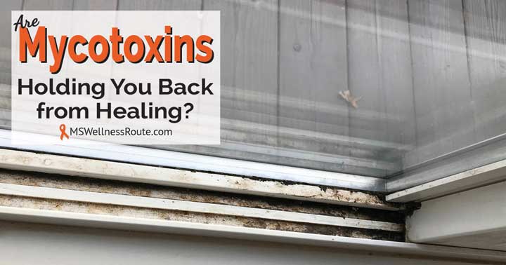 Window track that has mold with overlay: Are Mycotoxins Holding You Back From Healing?