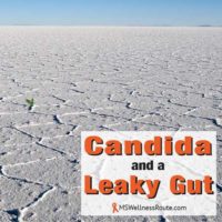 Dry, cracked desert with overlay: Candida and a Leaky Gut