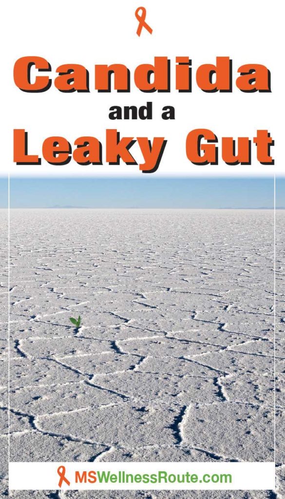 Dry, cracked desert with headline: Candida and a Leaky Gut