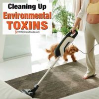 Woman vacuuming and dog watching with overlay: Cleaning Up Environmental Toxins