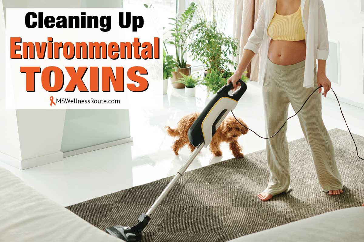 Cleaning Up Environmental Toxins Ms Wellness Route