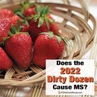 Strawberries in a wicker basket with overlay: Does the 2022 Dirty Dozen Cause MS?