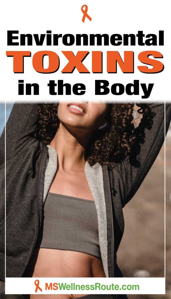 Young woman stretching showing stomach with overlay: Environmental Toxins in the Body