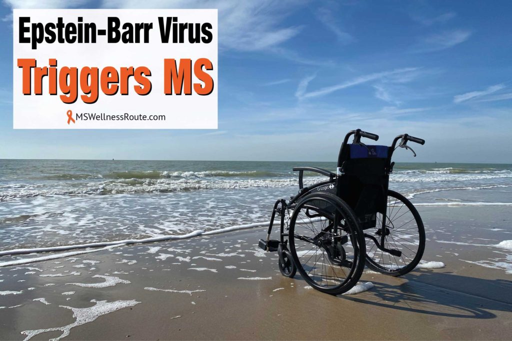 Wheelchair on sandy ocean beach with overlay: Epstein-Barr Virus Triggers MS