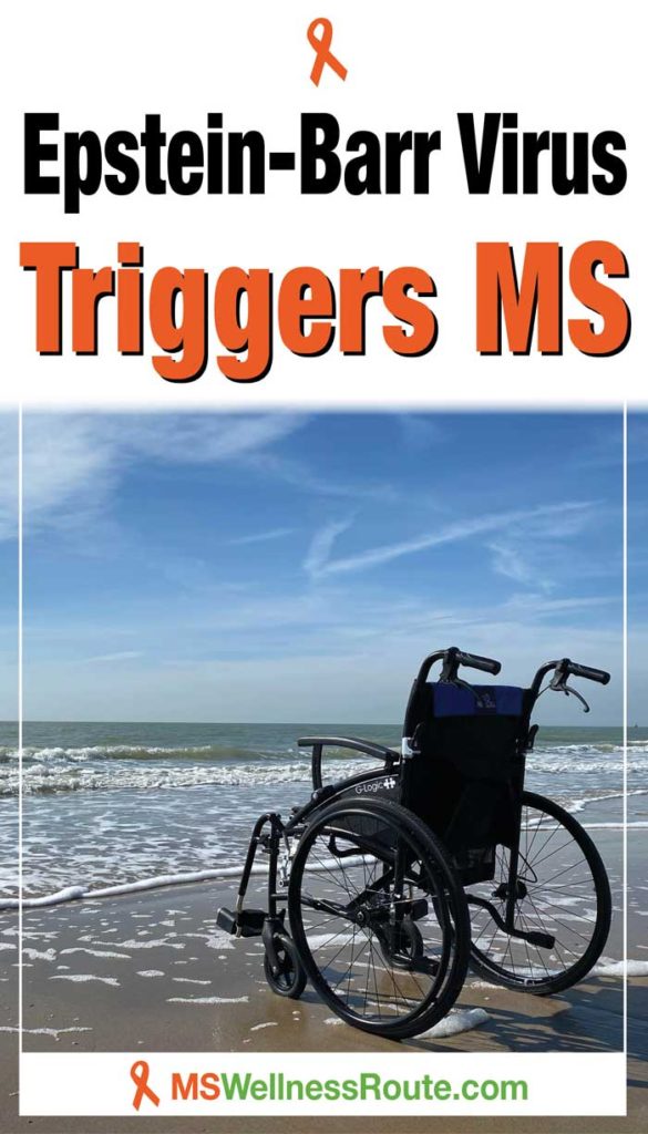 Wheelchair on sandy ocean beach with headline: Epstein-Barr Virus Triggers MS