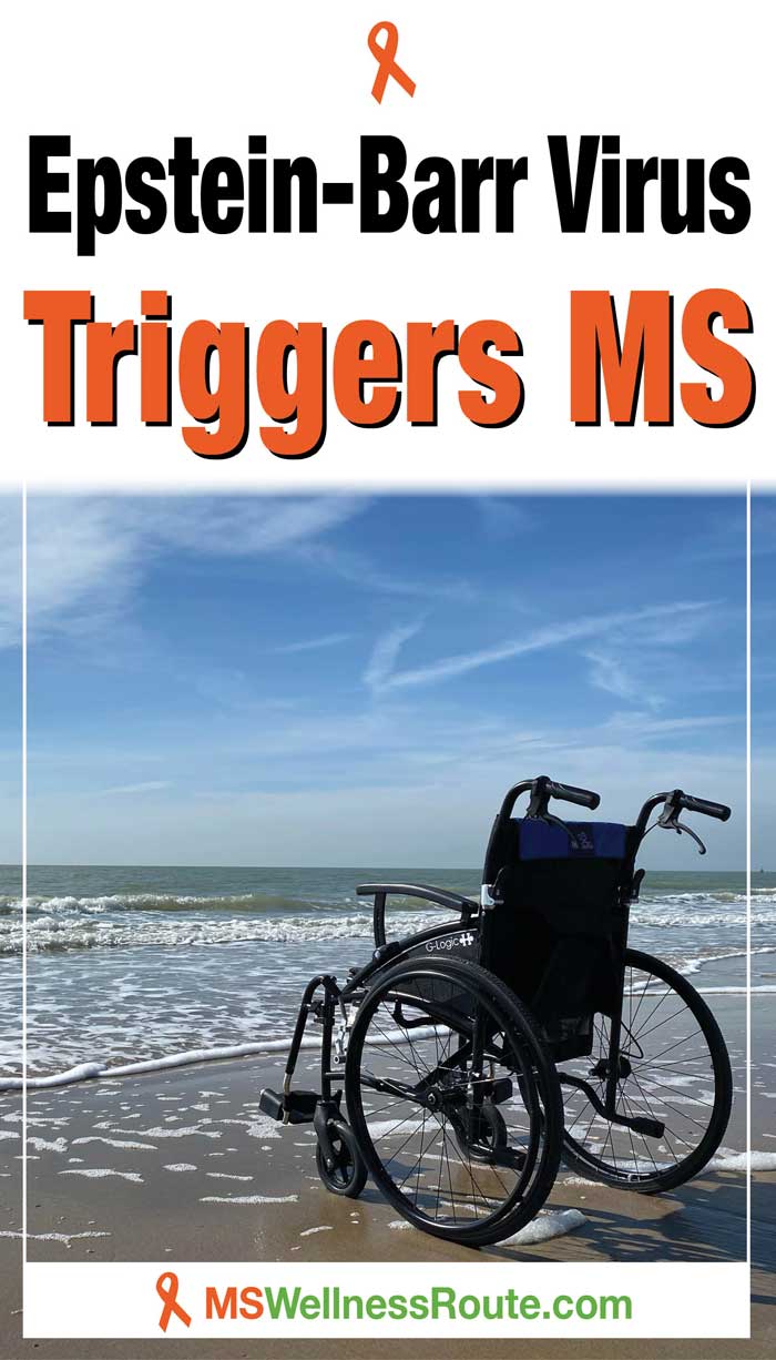 Epstein Barr Virus Triggers Ms Ms Wellness Route 9443