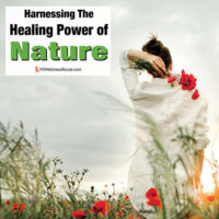 Woman holding a poppy flowers in a meadow with overlay: Harnessing The Healing Power of Nature