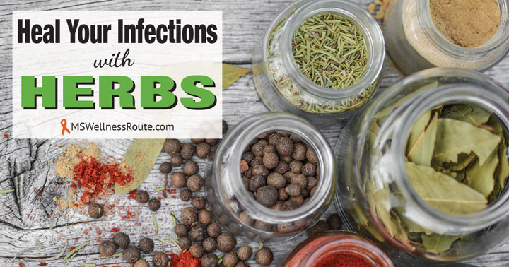 Jars of different herbs with overlay: Heal Your Infections with Herbs