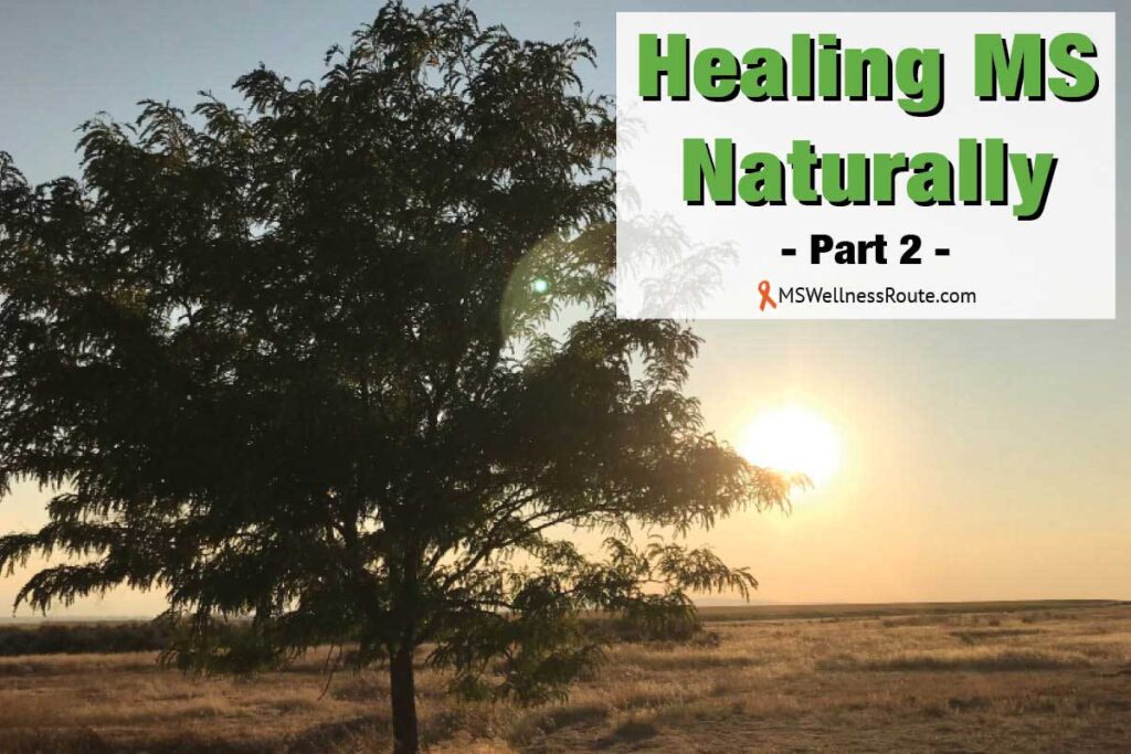 Sunset and tree in desert with overlay: Healing MS Naturally Part 2