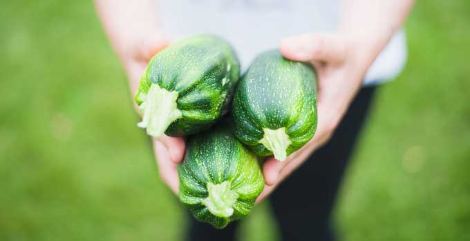 Hands holding three zucchinis.