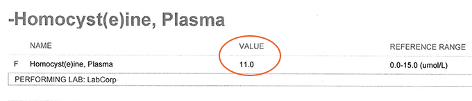 Homocysteine Level