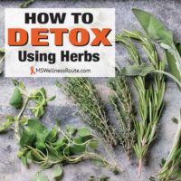 Different herbs on table with overlay: How to Detox Using Herbs