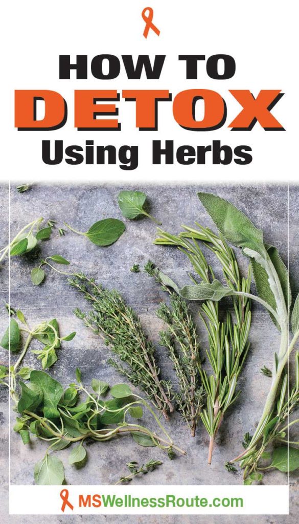 Sprigs of herbs with header: How to Detox Using Herbs