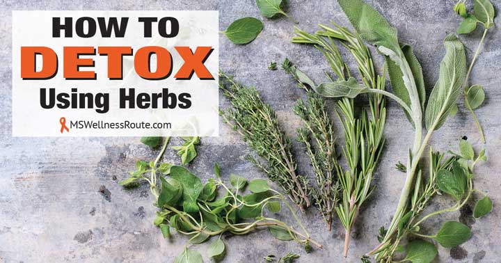 Different herbs on table with overlay: How to Detox Using Herbs