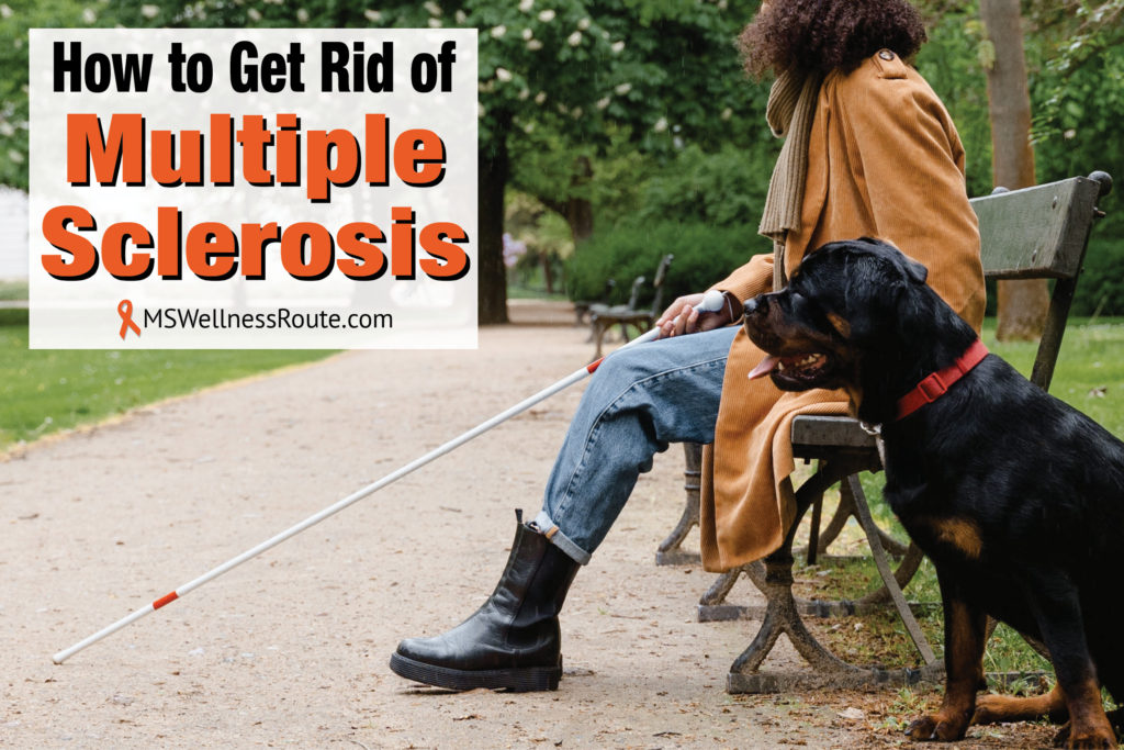 Blind woman on park bench with dog and overlay: How to Get Rid of Multiple Sclerosis