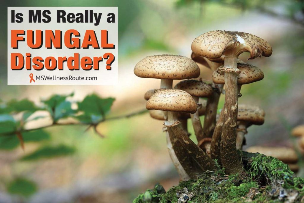 Mushrooms in forest with overlay: Is MS Really a Fungal Disorder?