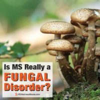 Mushrooms in forest with overlay: Is MS Really a Fungal Disorder?