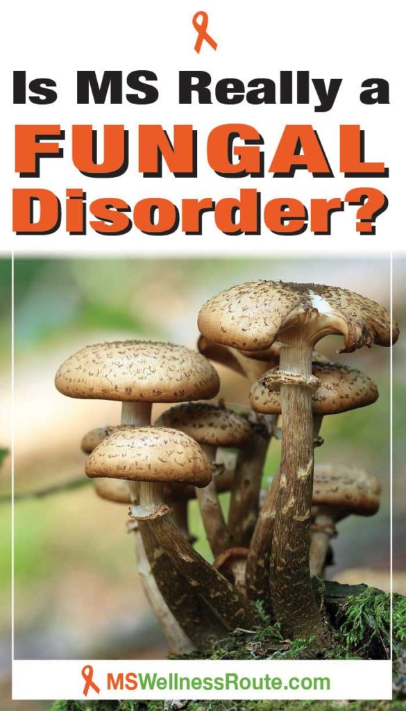 Mushrooms in forest with headline: Is MS Really a Fungal Disorder?