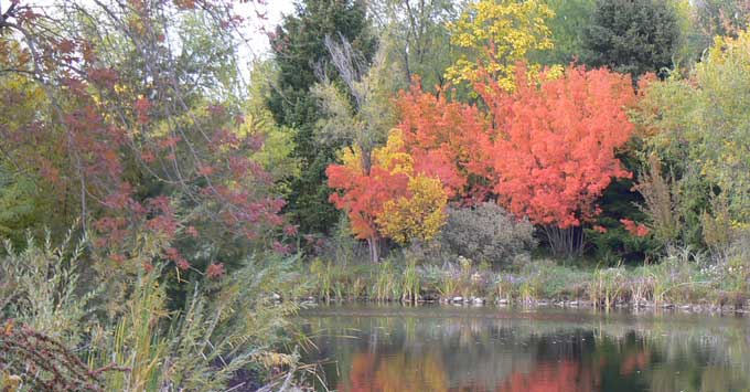 A beautiful fall day at the park.