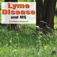 Wildflowers in a forest with overlay: Lyme Disease and MS