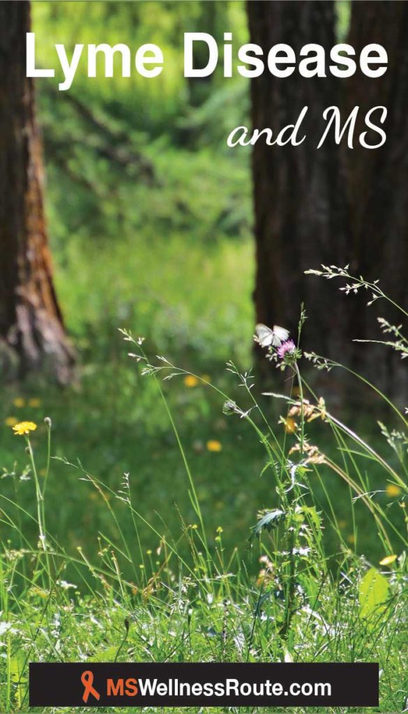 Wildflowers in a forest with overlay: Lyme Disease and MS